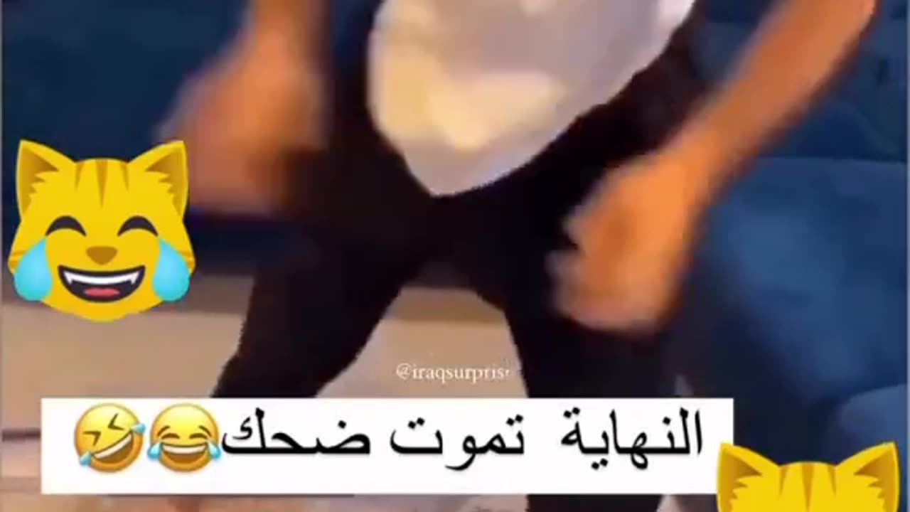 FUNNY VIDEO WITH RAT 🐀🐀🐀