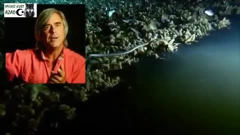 Lake At The Bottom Of The Ocean!!