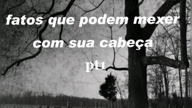 Fatos que vão....