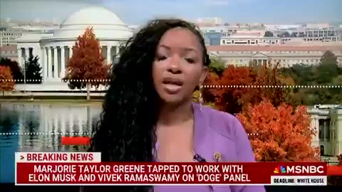 Rep. Jasmine Crockett Critiques DOGE: Claims It's a Paradoxical Waste of Money