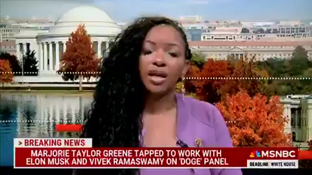 Rep. Jasmine Crockett Critiques DOGE: Claims It's a Paradoxical Waste of Money