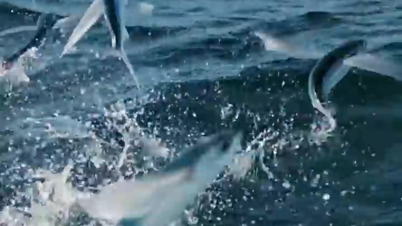 ऐसे जानवर जिनके पास है SuperPower..!🔥😱 #shorts #animals #viral