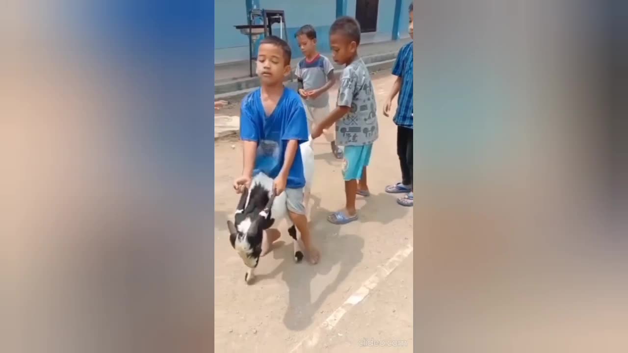 Mobile phone funny videos
