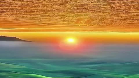 Nature short videos