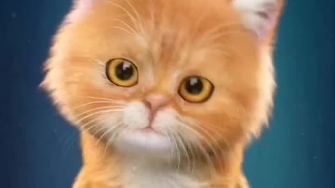 pet cat