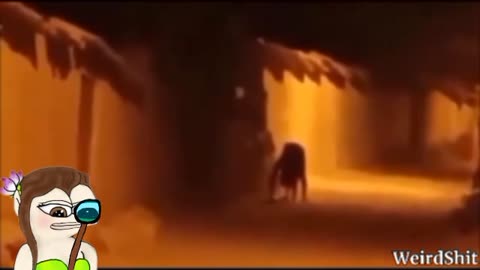TERRIFIED WOMAN FILMS A SHAPESHIFTER