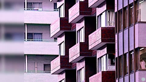 Real Estate Website SEM Custom Solutions