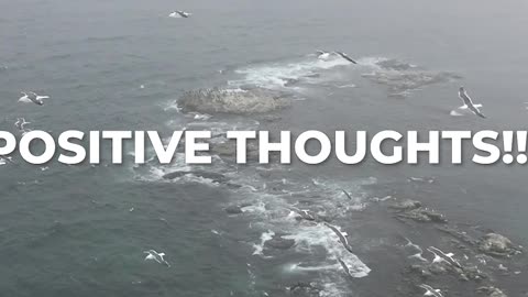 First Post. Manifest Success Through Positivity