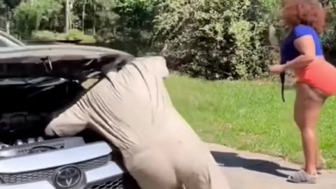 Funny video 2024