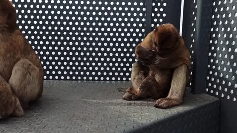 Gibraltar october 2022.