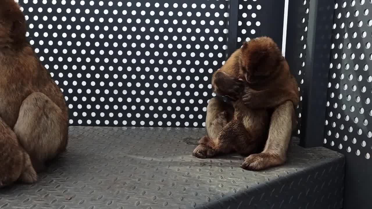 Gibraltar october 2022.