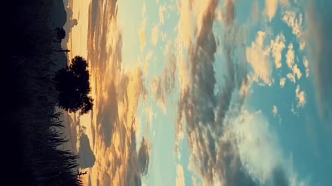 Nature, viral video, trending, shorts, rumble.com