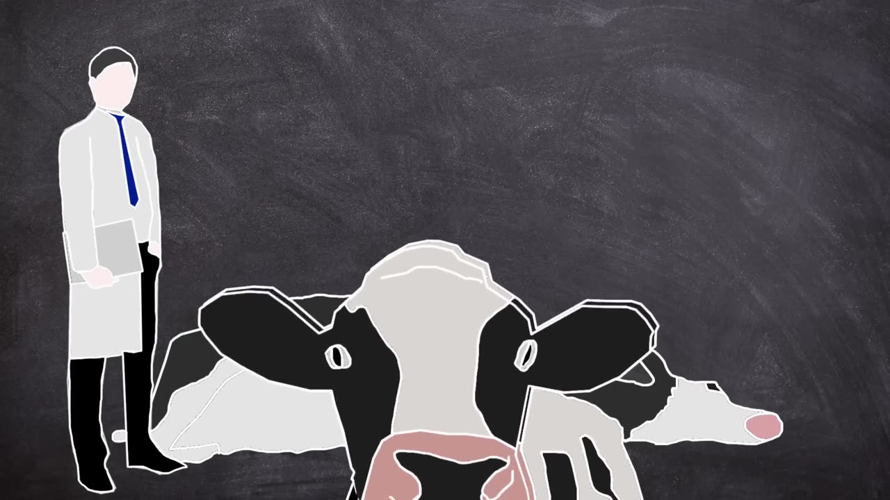 20 Years of Deception: Uncovering the Shocking Mad Cow BSE Scandal | Plainly Difficult