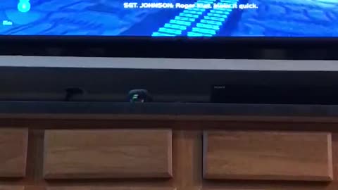 Halo