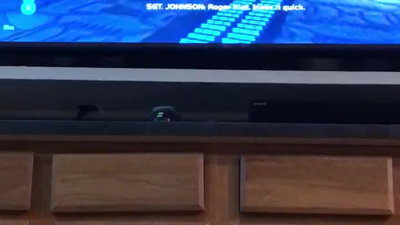 Halo