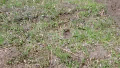 Ep 10.5 part two of the garden. What do we have so far