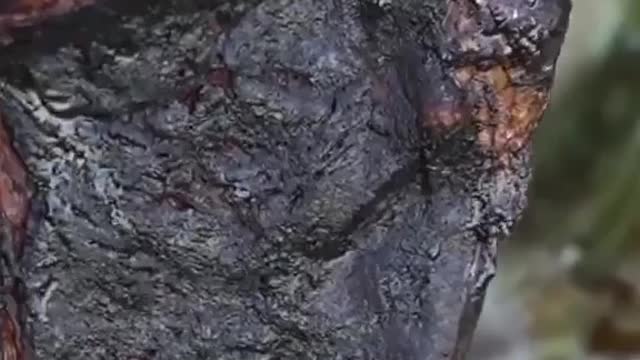 Cooking a Steak with Lava🌋🥩 Follow @tastesdelish for more!