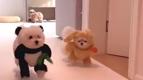Ranassg