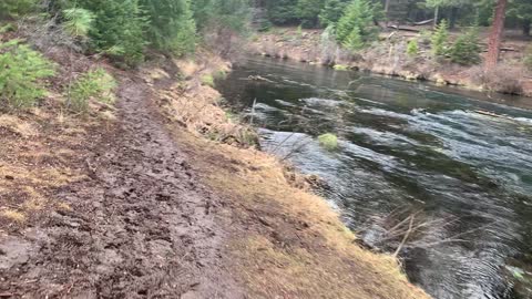 Hiking the Shoreline of Majestic Metolius River – Central Oregon
