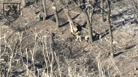 Joint work of marines on the invaders latest action from the frontlines. (Video)