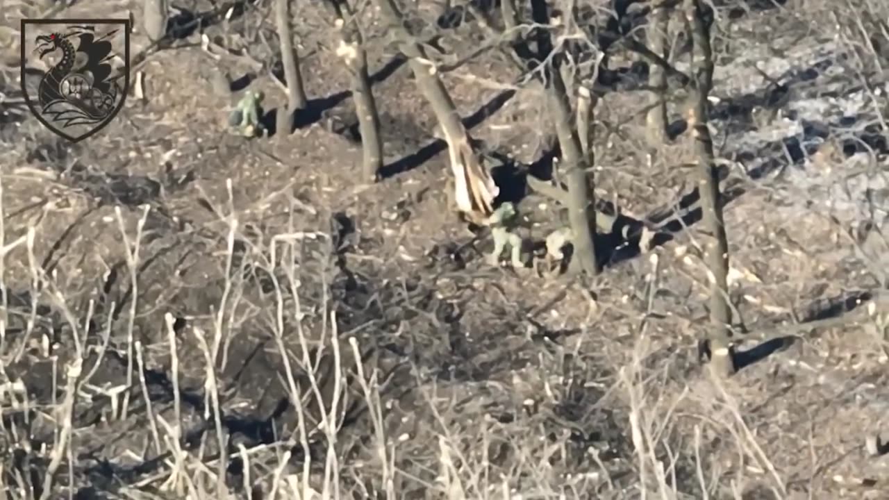 Joint work of marines on the invaders latest action from the frontlines. (Video)