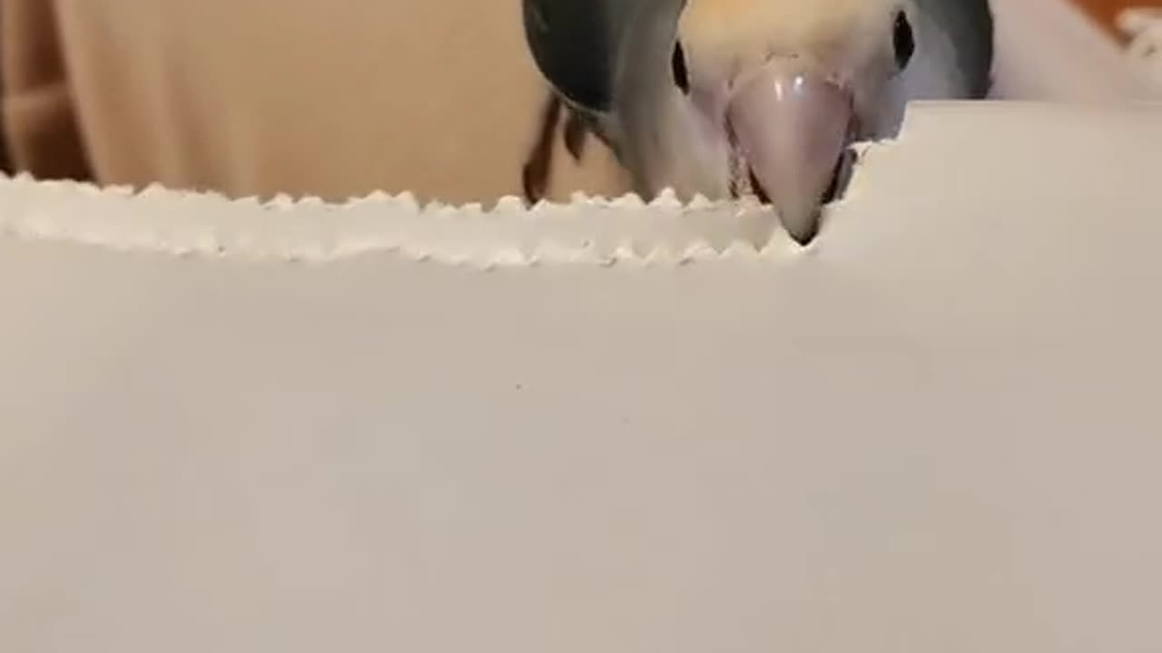 How are things 💖💖💖💖I hope you feeling today