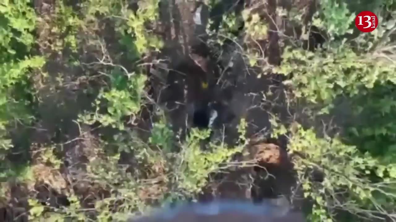 Russians who came out of the shot down equipment surrendered to the Ukrainian fighters