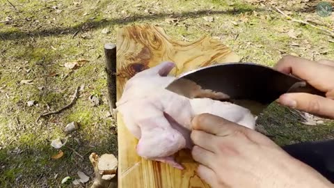 Whole CHICKEN Cooking in Nature - WHOLE CHICKEN with Cast Iron Pot - DUTCH OVEN ROASTED CHICKEN