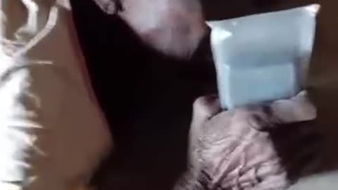 Zuru Video 2