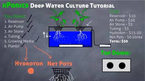 Deep Water Culture Hydroponics System Tutorial