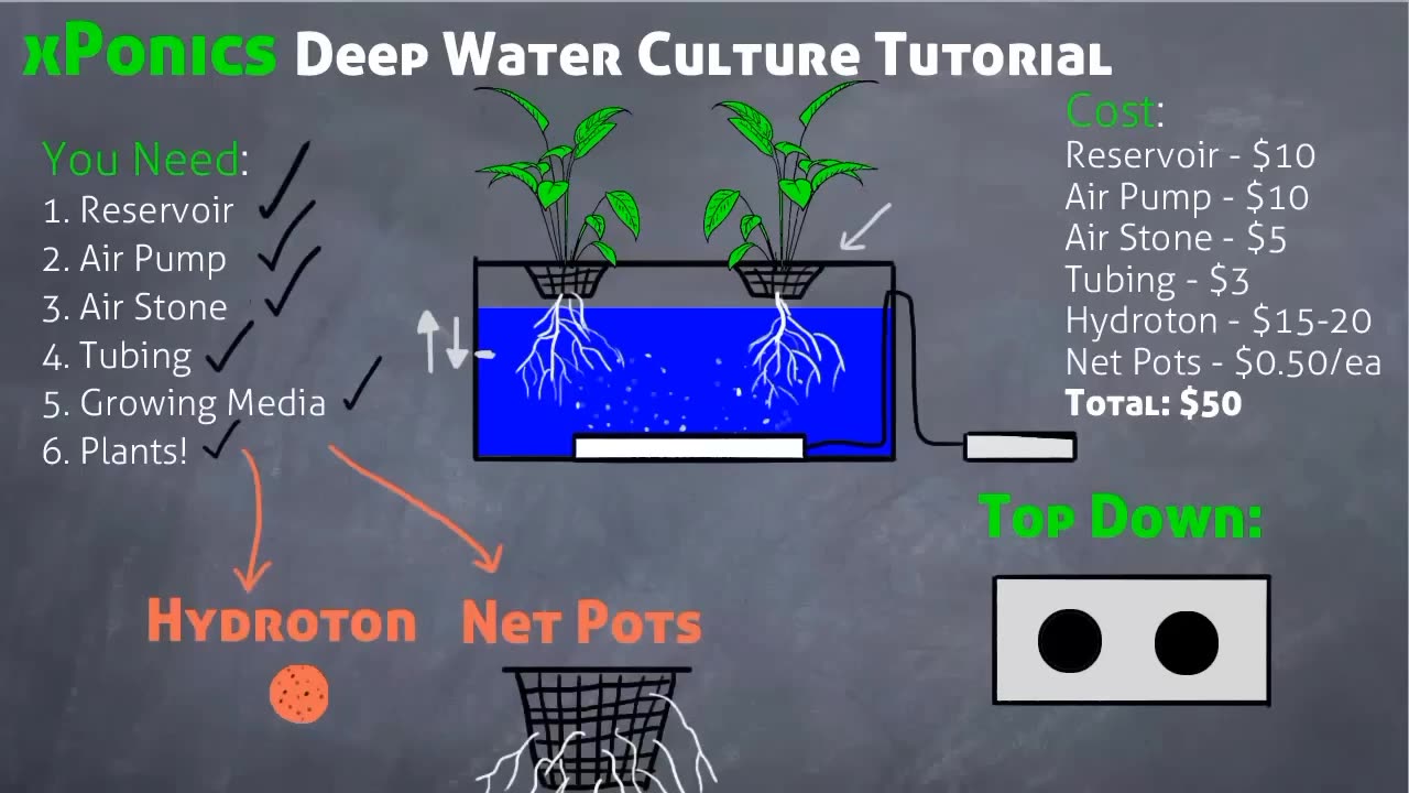 Deep Water Culture Hydroponics System Tutorial