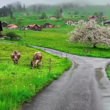 Switzerland 🇨🇭 village - Joy Funny Factory