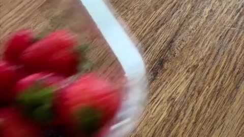 Best landscaping acc on social media