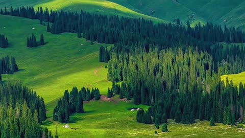 In the blink of an eye, you read through the spring, summer, autumn and winter in my heart