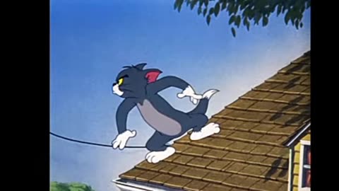 Tom & Jerry | Tom & Jerry in Full Screen | Classic Cartoon Compilation | WB Kids