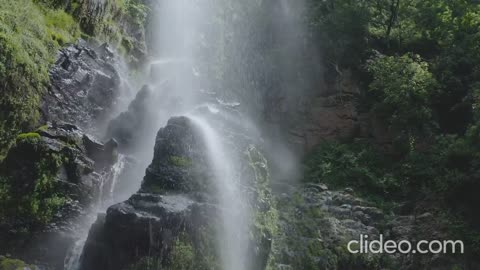 Mind Relex Song.