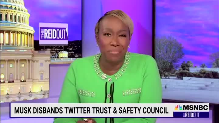 MSNBC's Joy Reid has MELTDOWN over Elon Musk restoring free speech on Twitter