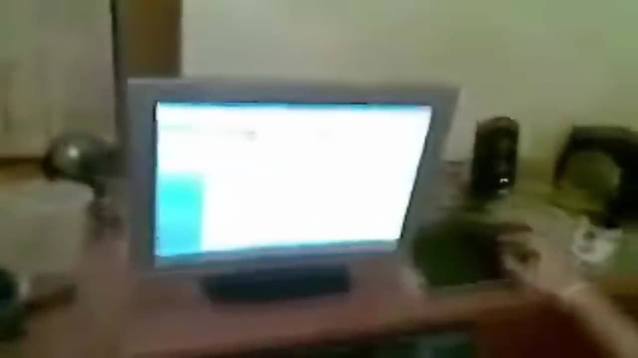 Rare video of Zyzz and friends watching degenerate gore (explicit)