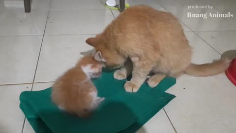 Ketika Kakak Sayang Adeknya