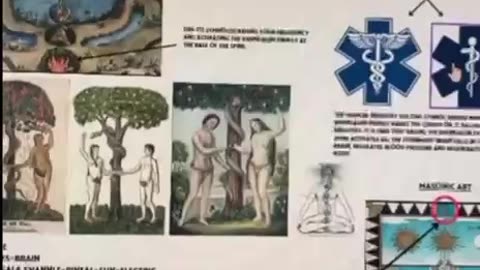 Holy grail & Pineal Gland