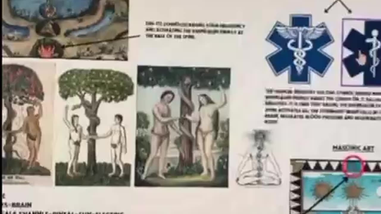 Holy grail & Pineal Gland