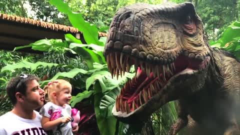 The Best Outdoor and Indoor Playgrounds for kids