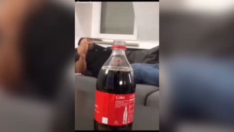funny videos