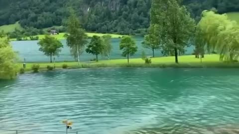 Save the green energy and alive happy 😊🌎🌎