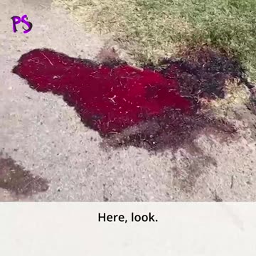 Here .look, no military here, nothing is here,' says Yevgeny Kuzmin, an eyewitness