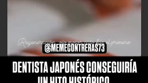 regeneracion de las tercera corrida de dientes y mas