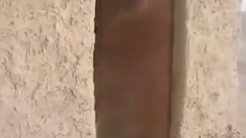 Military squads