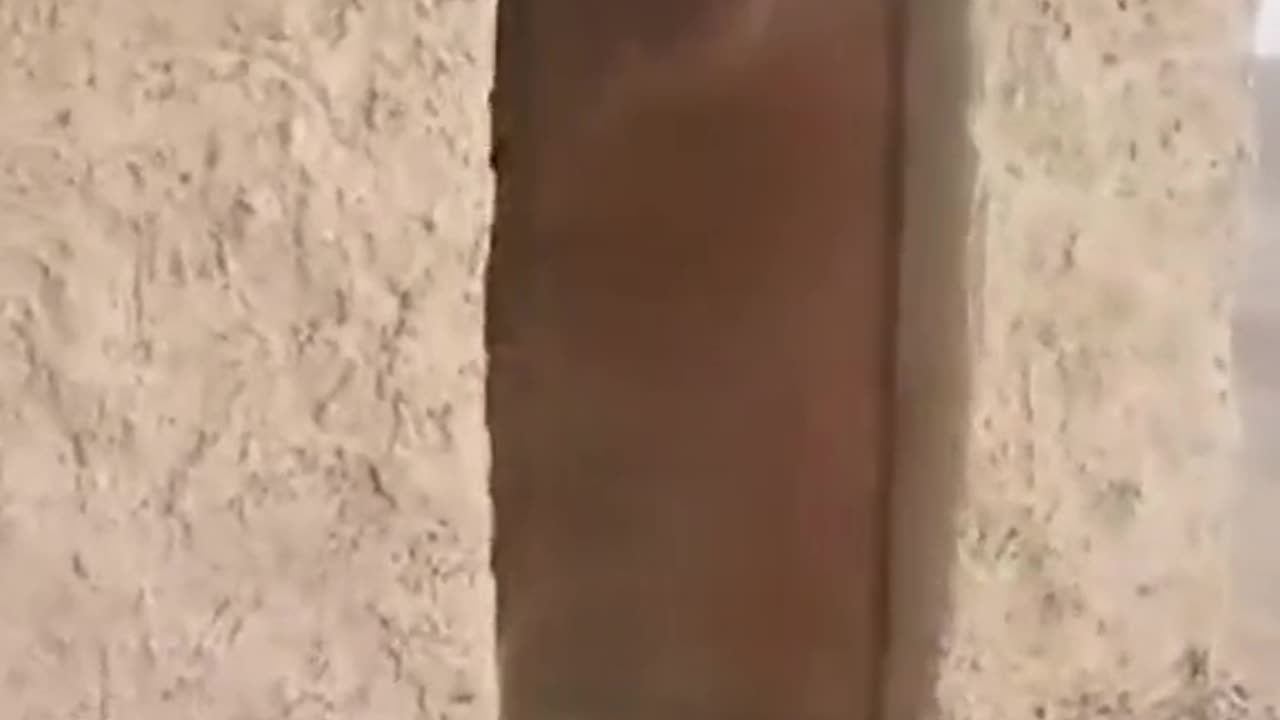 Military squads