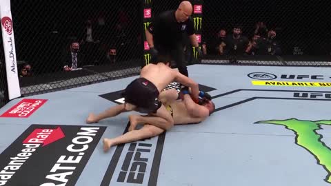 Magomed Ankalaev _ Top Knockouts