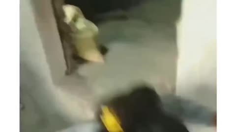 #Funny😂 Videos#trending#scooty😅samajh rahi thi#Women😁#Funnyvideos😅